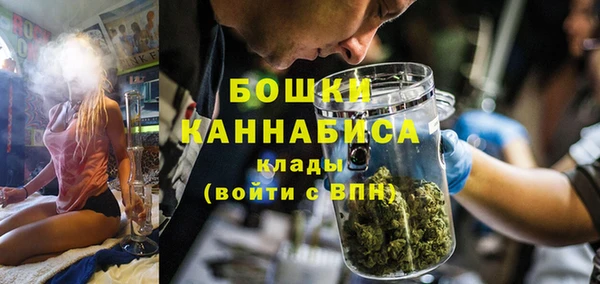 мяу мяу мука Баксан